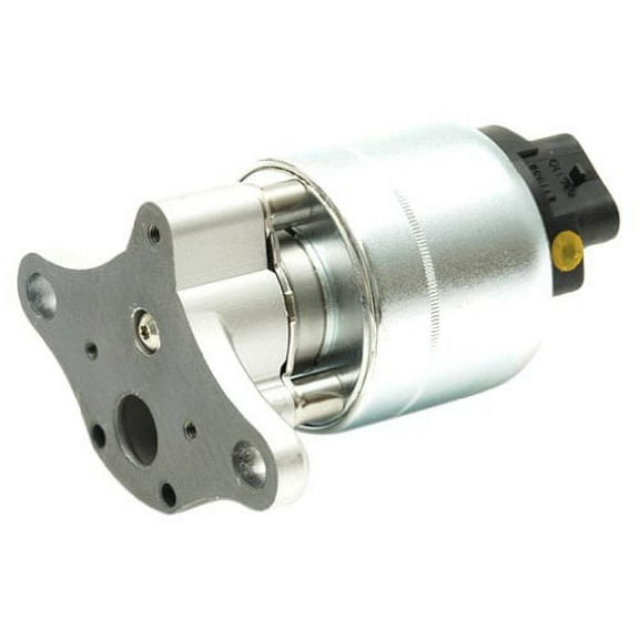 Delphi EG10174 EGR Valve
