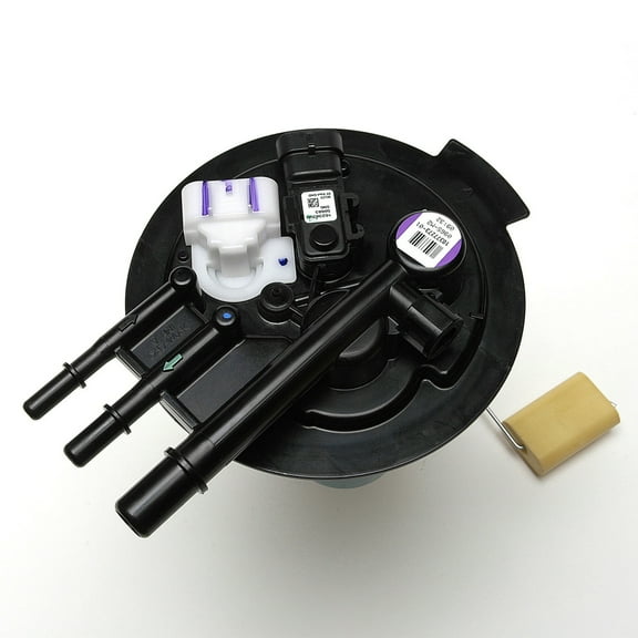 Delphi FG0385 Fuel Pump Module Fits select: 2004-2005 BUICK RENDEZVOUS, 2004-2005 PONTIAC AZTEK