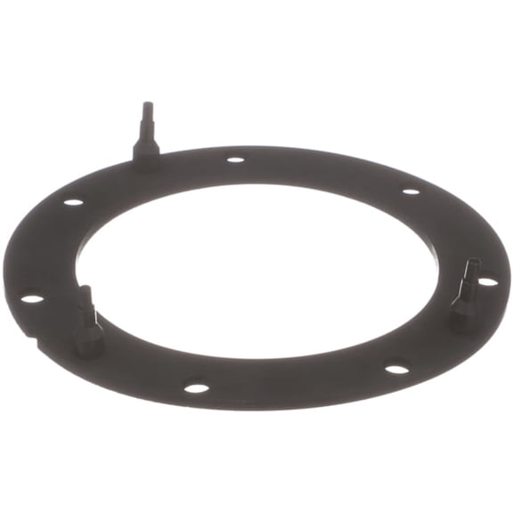 Delphi Fuel P. Tank Seal