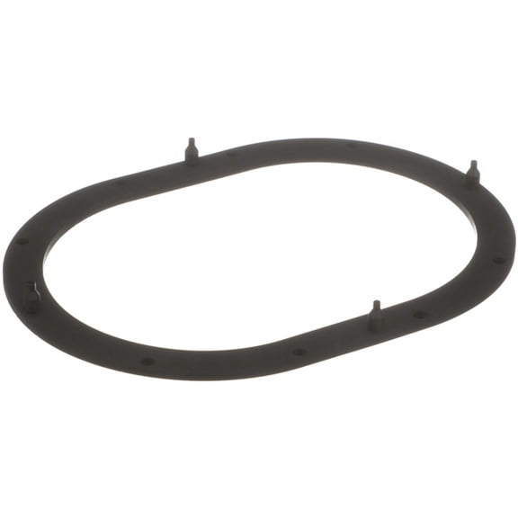Delphi Fuel P. Tank Seal