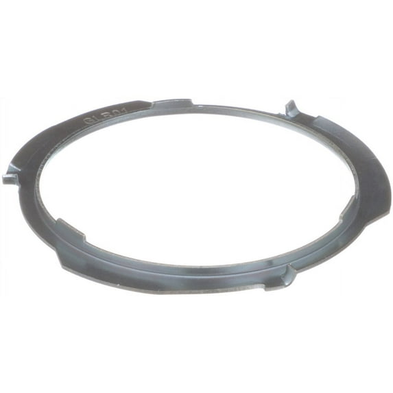Delphi Fuel Tank Lock Ring