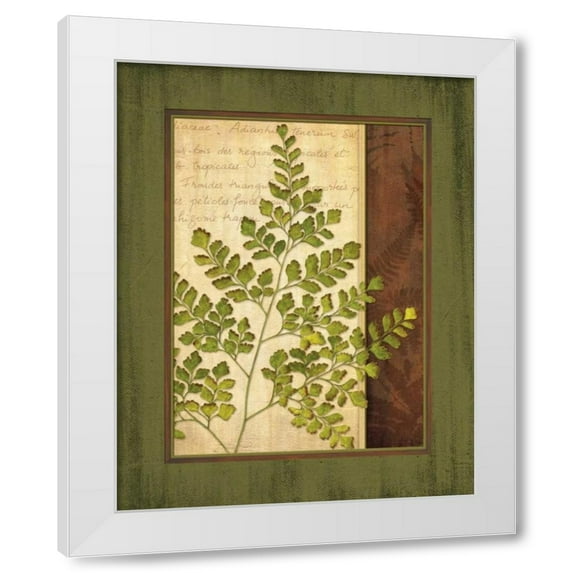 Delphine Corbin 20x24 White Modern Wood Framed Wall Art Titled - Fern Grotto IV
