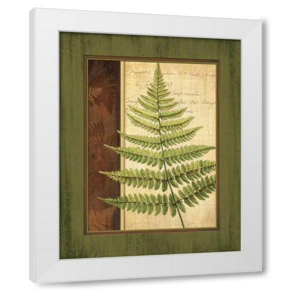 Delphine Corbin 20x24 White Modern Wood Framed Wall Art Titled - Fern Grotto I