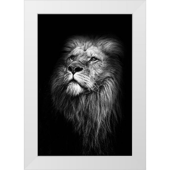 Delrue, Mirjam 23x32 White Modern Wood Framed Museum Art Print Titled - Untitled