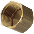 thumbnail image 1 of Delta 1/2" Female IPS Brass Cap, 1 of 2