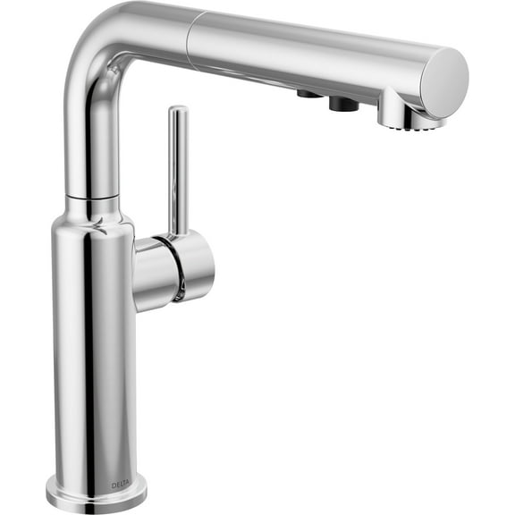 Delta 16879-Dst Daneri 1.8 GPM Single Handle Pull Out Kitchen Faucet - Chrome