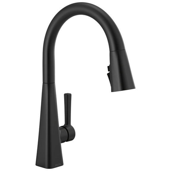 Delta Faucet Lenta Single-Handle Kitchen Sink Faucet with Pull Down Sprayer and Magnetic Docking Spray Head, Matte Black 19802Z-BL-DST