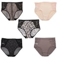 thumbnail image 1 of Delta Burke Women's Plus Size Sexy Panties High Rise Soft Briefs 5 Pack - Lacey Animal Print - 7 Large, 1 of 11