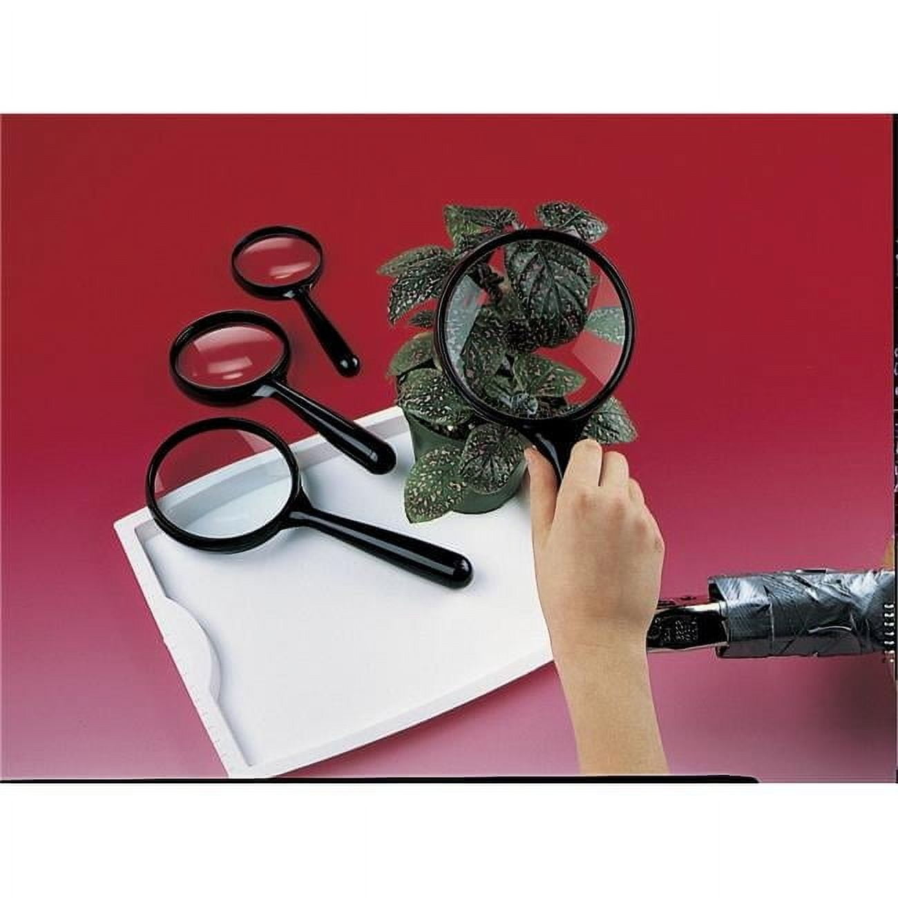 Delta Education 130-4599 Magnifiers Assorted Sizes Classroom Set - 2.5 x 3 x 3.5 x 4 in.
