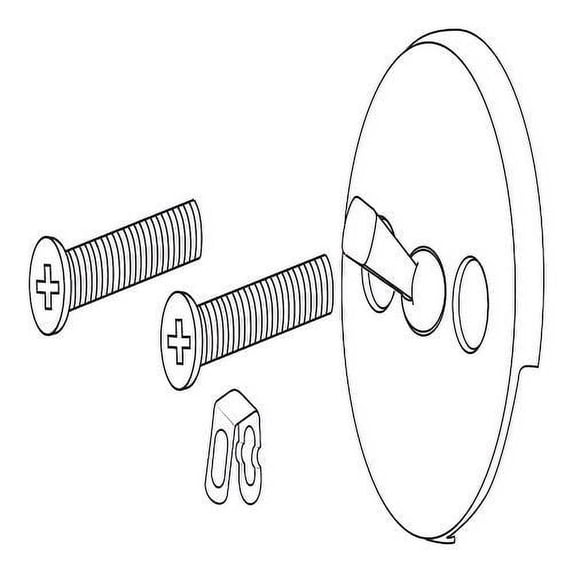 Delta Faucet RP31555PB Overflow Plate and Screws, Polished Brass