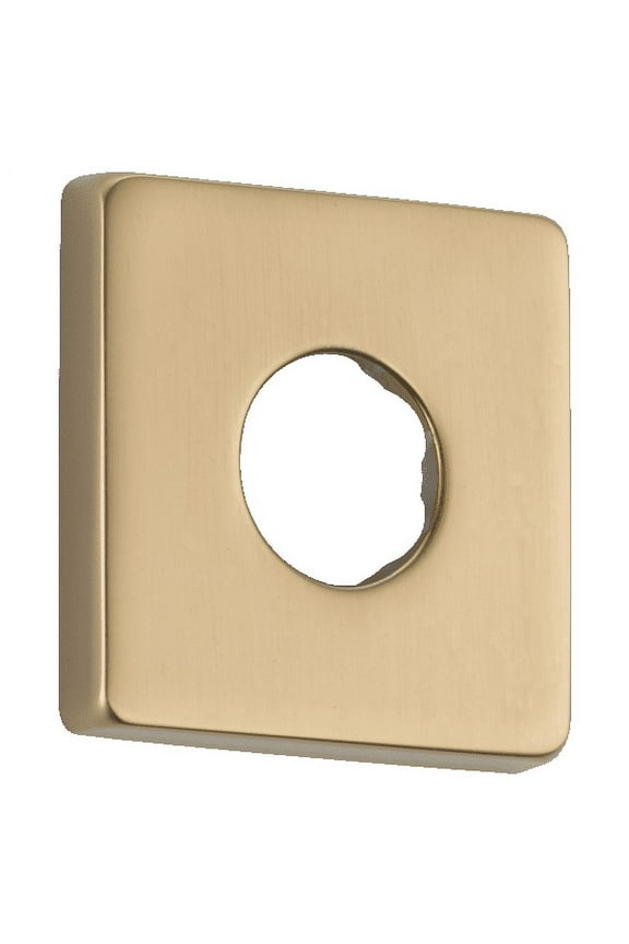 Flange - Shower in Champagne Bronze