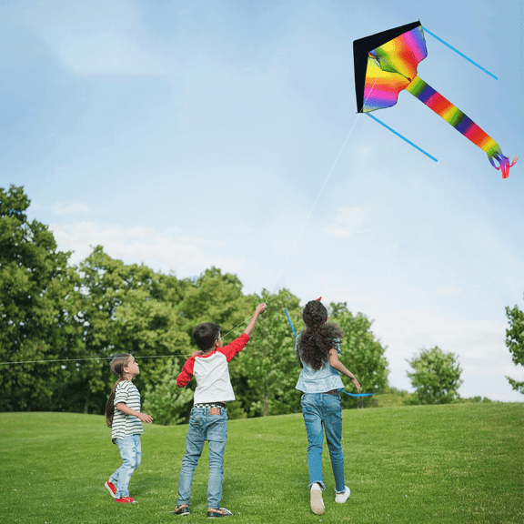 Delta Kite for Kids & Adults,Beginner Kite with Colorful Tails, 262ft Line Handle,Easy to Fly, Perfect for Beginners for Outdoor Activities & Family Trip