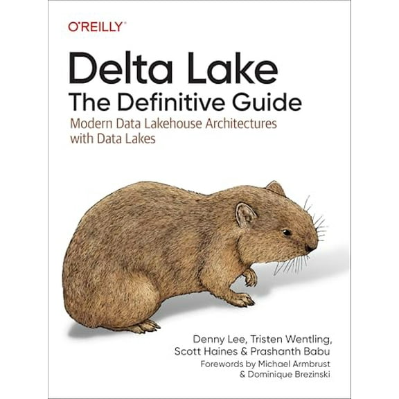 Pre-Owned Delta Lake: The Definitive Guide: Modern Data Lakehouse Architectures with Data Lakes, 9781098151942, 1098151941, Paperback, 1 edition