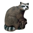 thumbnail image 1 of Delta Mckenzie Backyard 3d Target Racoon, 1 of 1