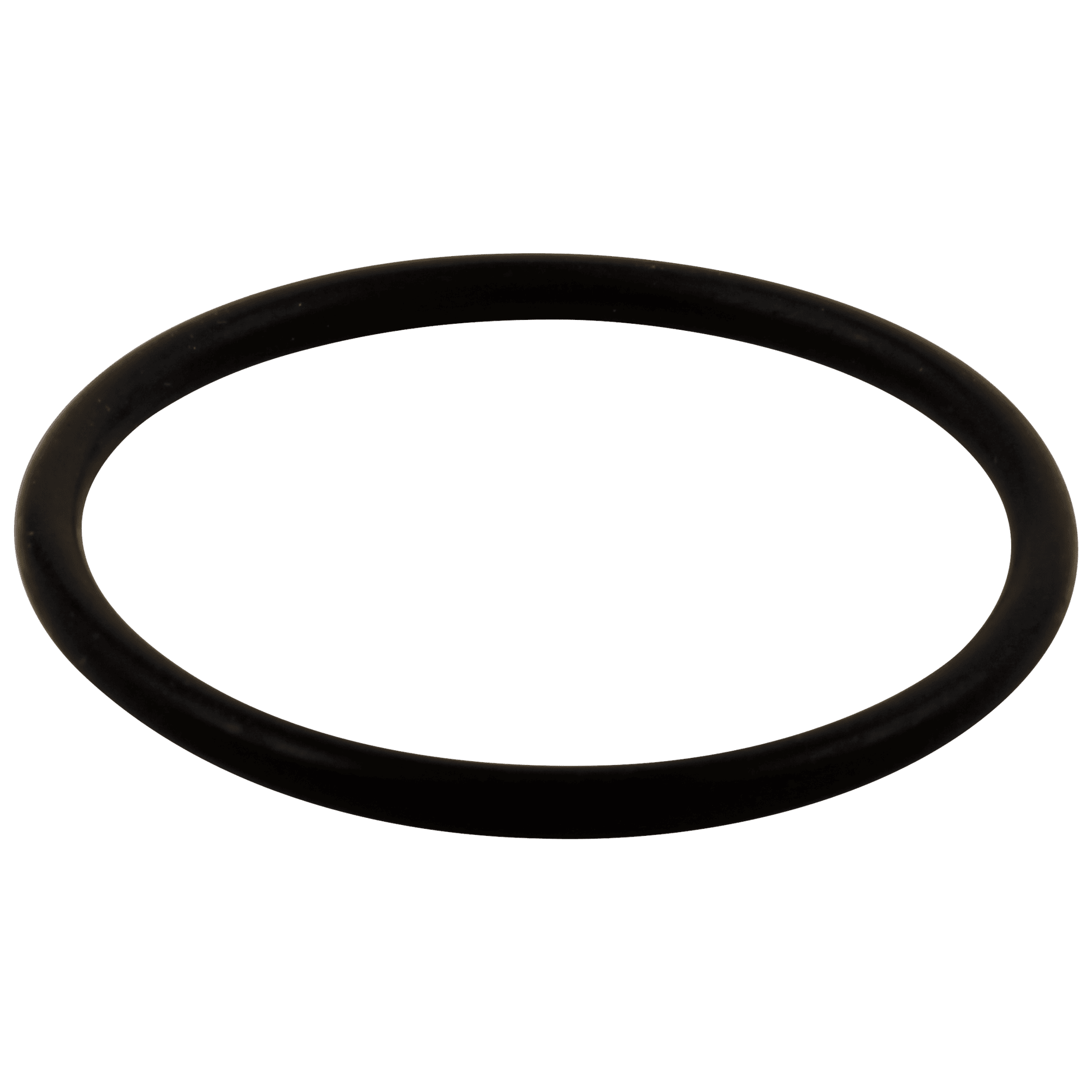 Delta O-Ring - Large - All Monitor Series RP23336