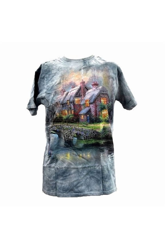 Delta Pro Weight Men's Cobblestone Bridge T-Shirt in Multi-color - Large