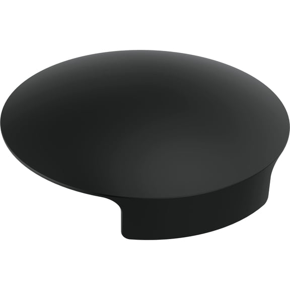 Delta Rp101289 Glass Rinser Cover - Black