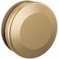 thumbnail image 1 of Delta Rp103308 Steamscape Classic System Contemporary Round Steam Shower Head - Lumicoat, 1 of 1