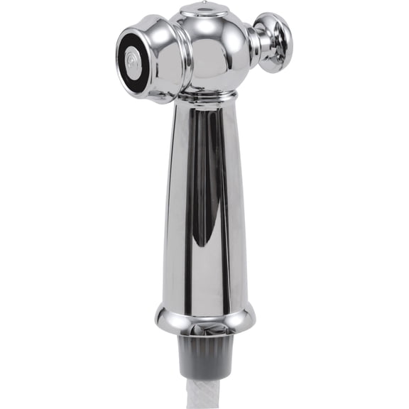 Delta Rp37489 Victorian Spray And Hose Assembly - Chrome