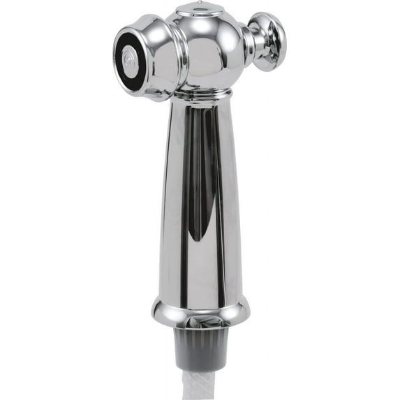 Delta Rp37489 Victorian Spray And Hose Assembly - Chrome