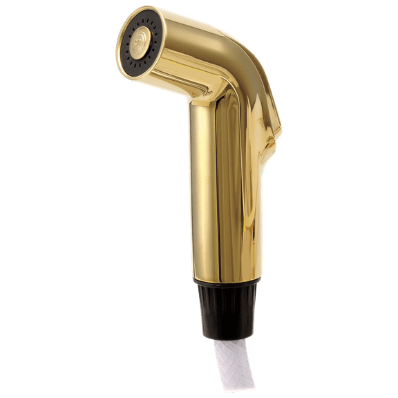Delta RP39345PB Spray And Hose Assembly - Brass