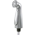 thumbnail image 1 of Delta Rp72751 Cassidy Spray Hose And Assembly - Nickel, 1 of 4