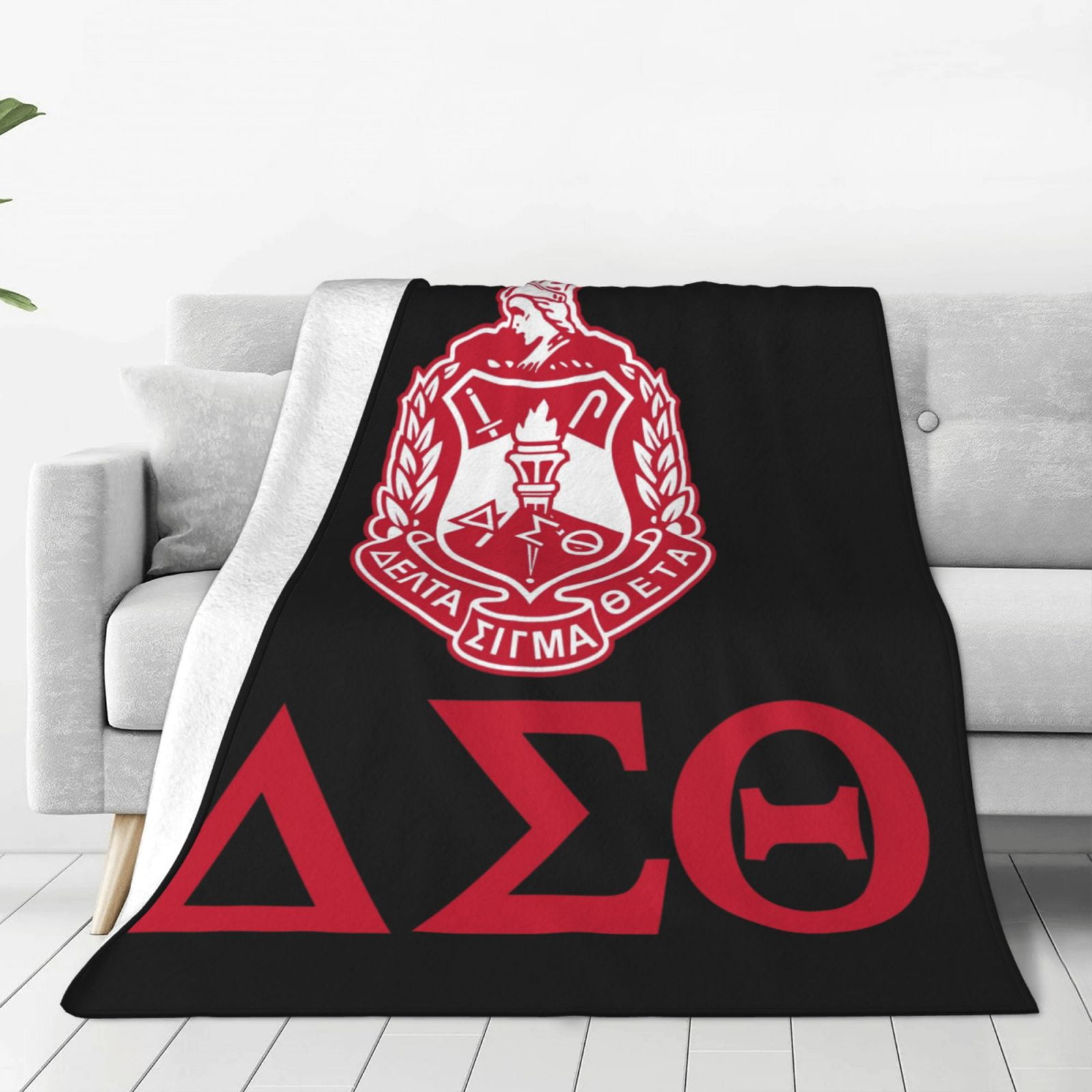 Delta Sigma Theta Bed Blanket Fleece Throw Blankets Sofa Plush Soft Warm Blankets for Home Camping Travel 40 x30