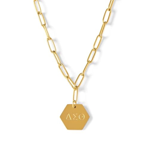SORORITY SHOP Delta Sigma Theta Necklace, 18k Gold Plated Paperclip Style Chain with Sorority Letters Pendant