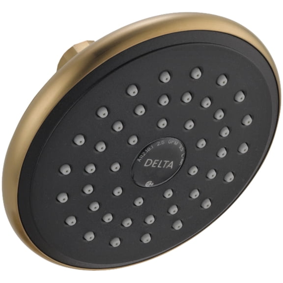 Delta: Single-Setting Raincan Shower Head
