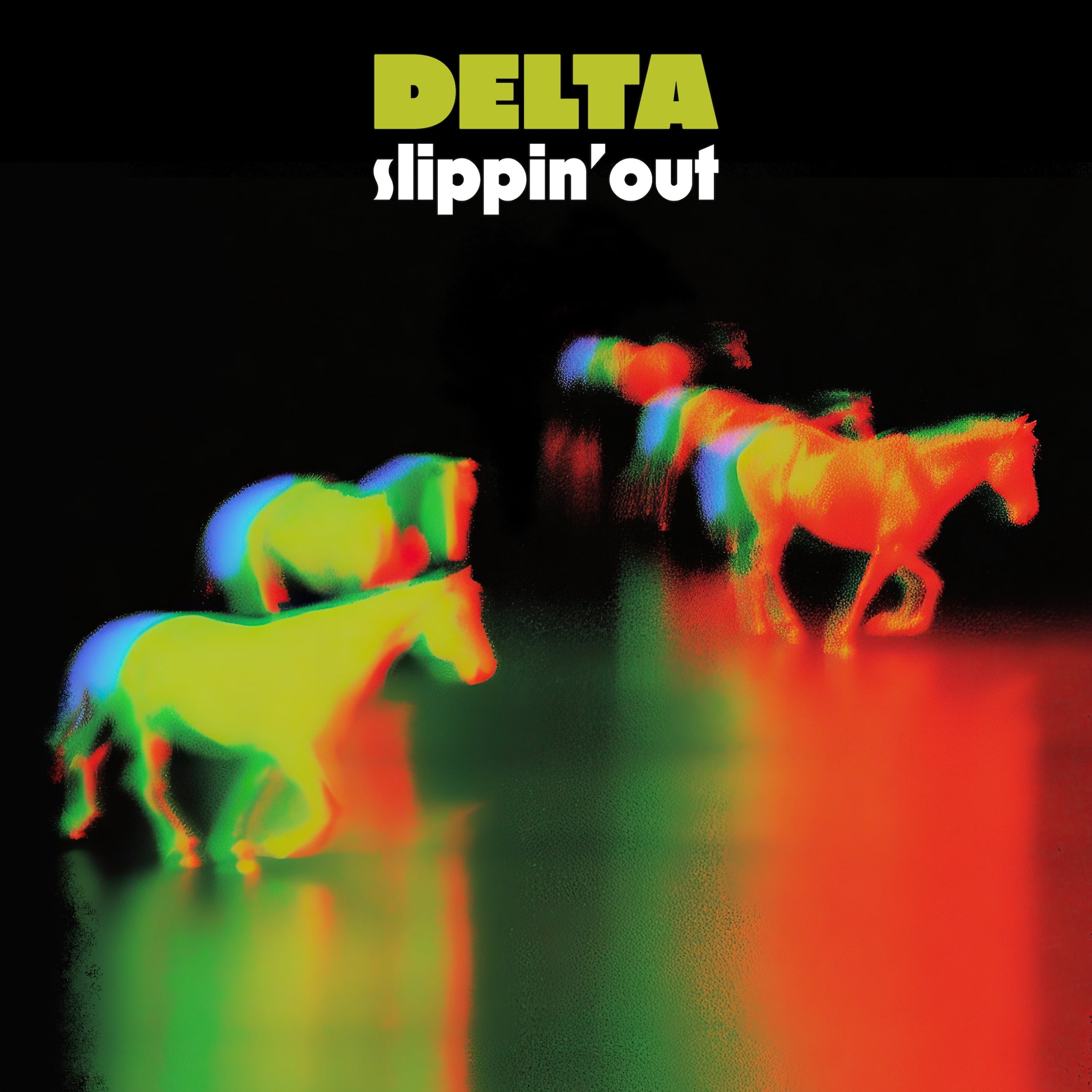 Slippin Out Delta Slippin' Out (25th Anniversary) (Vinyl Record) 12