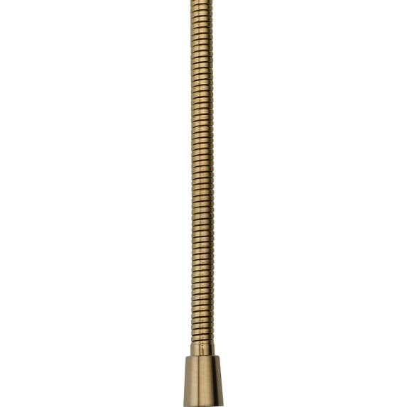 Delta Universal Showering Components 60"-80" Hand Shower Hose in Champagne Bronze