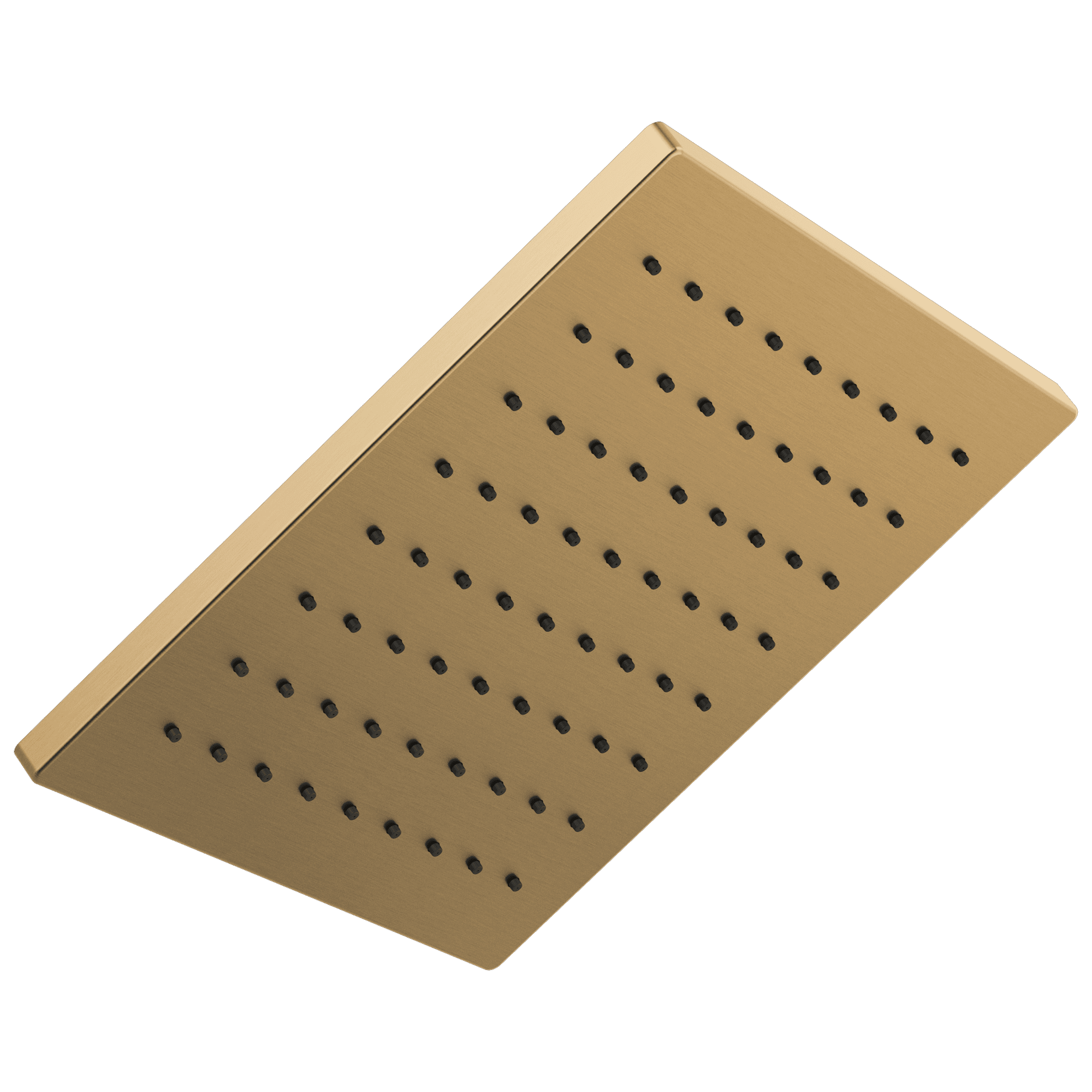 Champagne Bronze Square Ceiling Mounted Rain Shower Head
