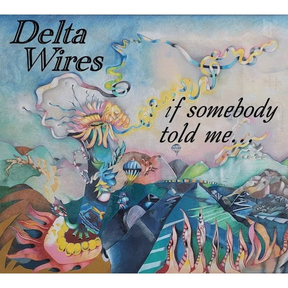 Delta Wires - If Somebody Told Me (CD)