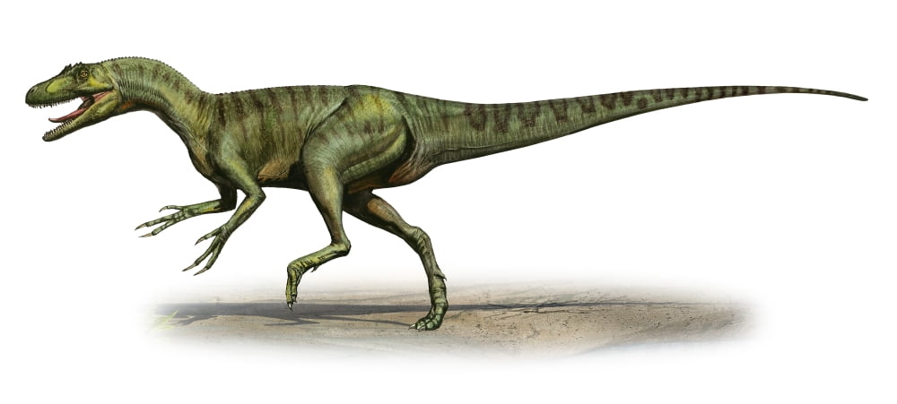 Deltadromeus agilis a prehistoric era dinosaur Canvas Art - Sergey KrasovskiyStocktrek Images (21 x 10)