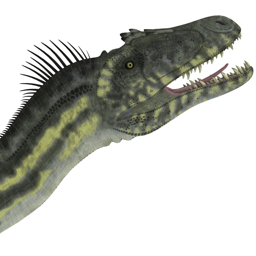 Deltadromeus dinosaur head Canvas Art - Corey FordStocktrek Images (29 x 29)