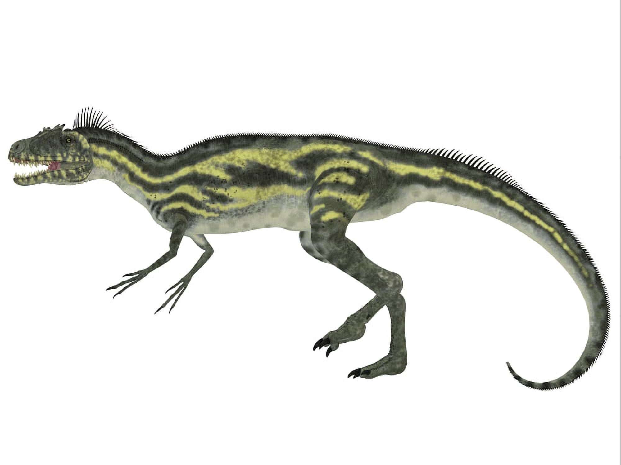 Deltadromeus dinosaur white background Canvas Art - Corey FordStocktrek Images (33 x 25)
