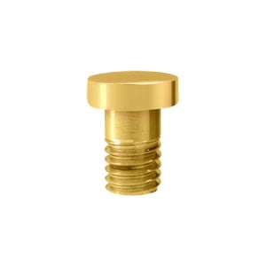Deltana Hpss70 1/2" Diameter Button Tip Door Hinge Final - Brass