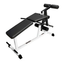 Deltech Fitness Leg Extension/Leg Curl Machine (DF807)