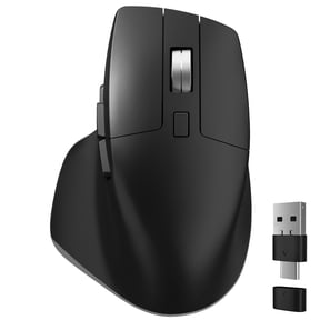 Delton S18 Ergonomic Wireless Mouse, 5 Noiseless Buttons with Smooth Scroll Wheel, 3 DPI Levels 800/1200/1600, USB-A & USB-C Dongle for PC/Laptop/MacBook/Tablets & Smartphones - Black
