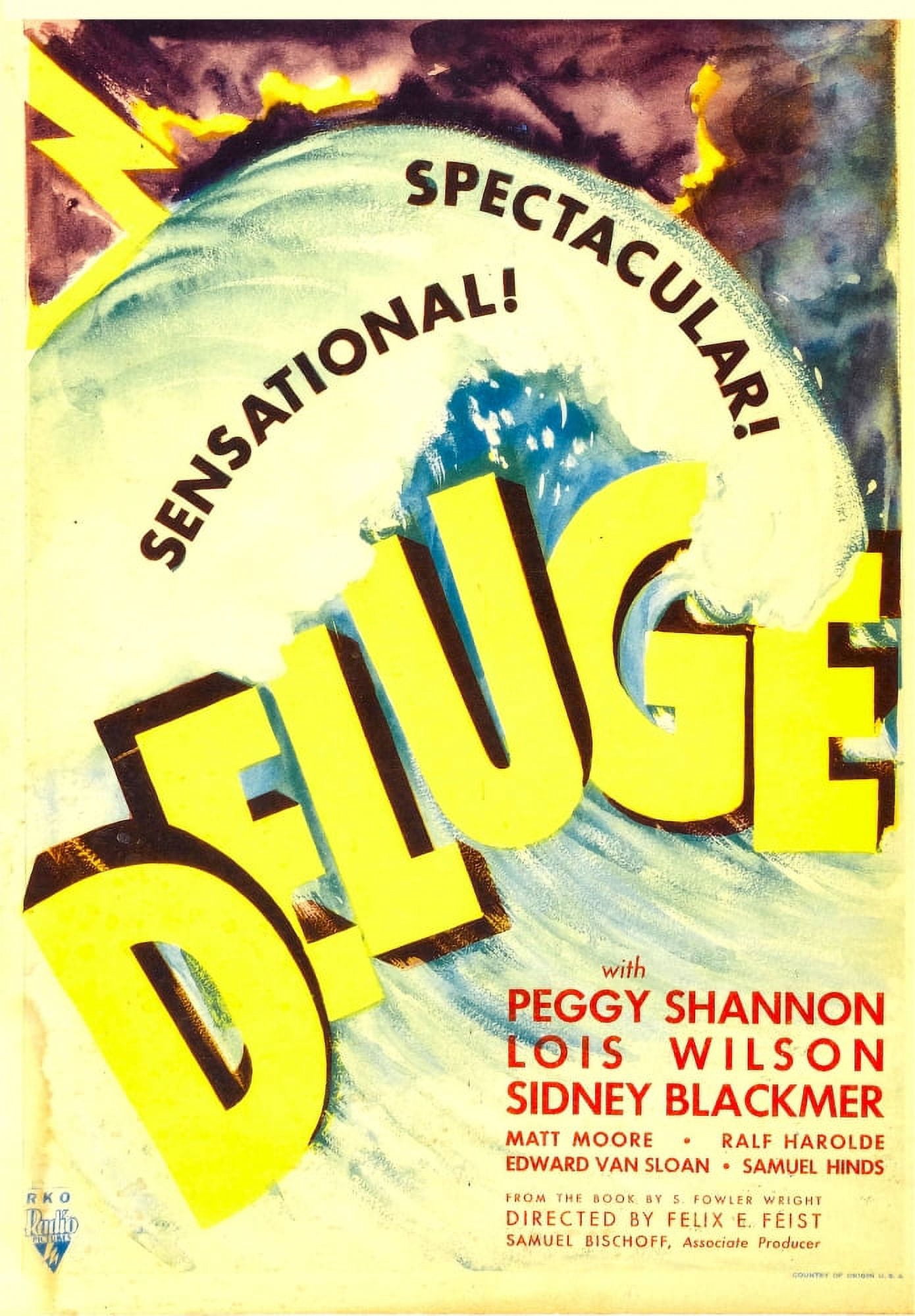 Deluge Canvas Art - (11 x 17)