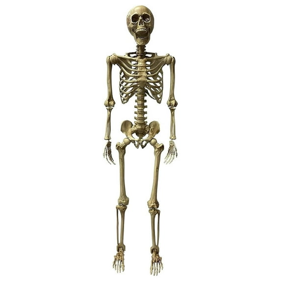 Deluxe 5 Foot Poseable Skeleton Halloween Decoration