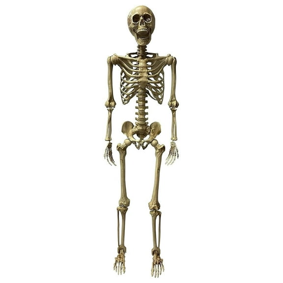 Deluxe 5 Foot Poseable Skeleton Halloween Decoration