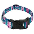 thumbnail image 1 of Country Brook Petz® Albuquerque Everyday Dog Collar - Made In The USA, Small, 1 of 5