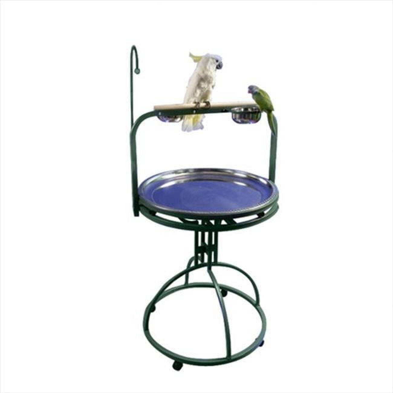 Platinum Wrought Iron Bird Play Stand with Wood Perch