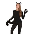 thumbnail image 1 of Deluxe Black Cat Kit, 1 of 6