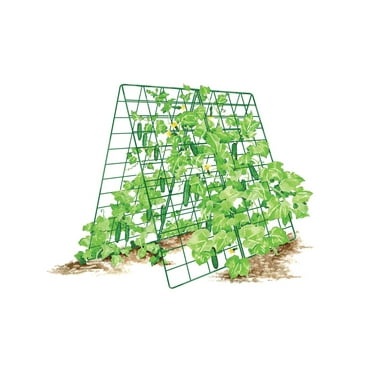 Gardener's Supply Company Deluxe Cucumber Trellis - Green