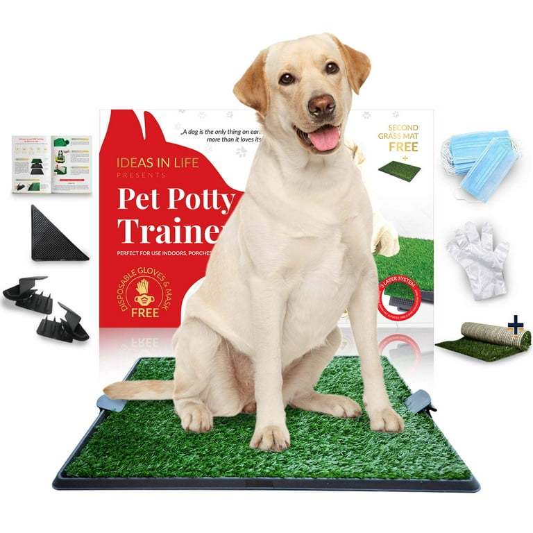 Disposable grass for dogs sale