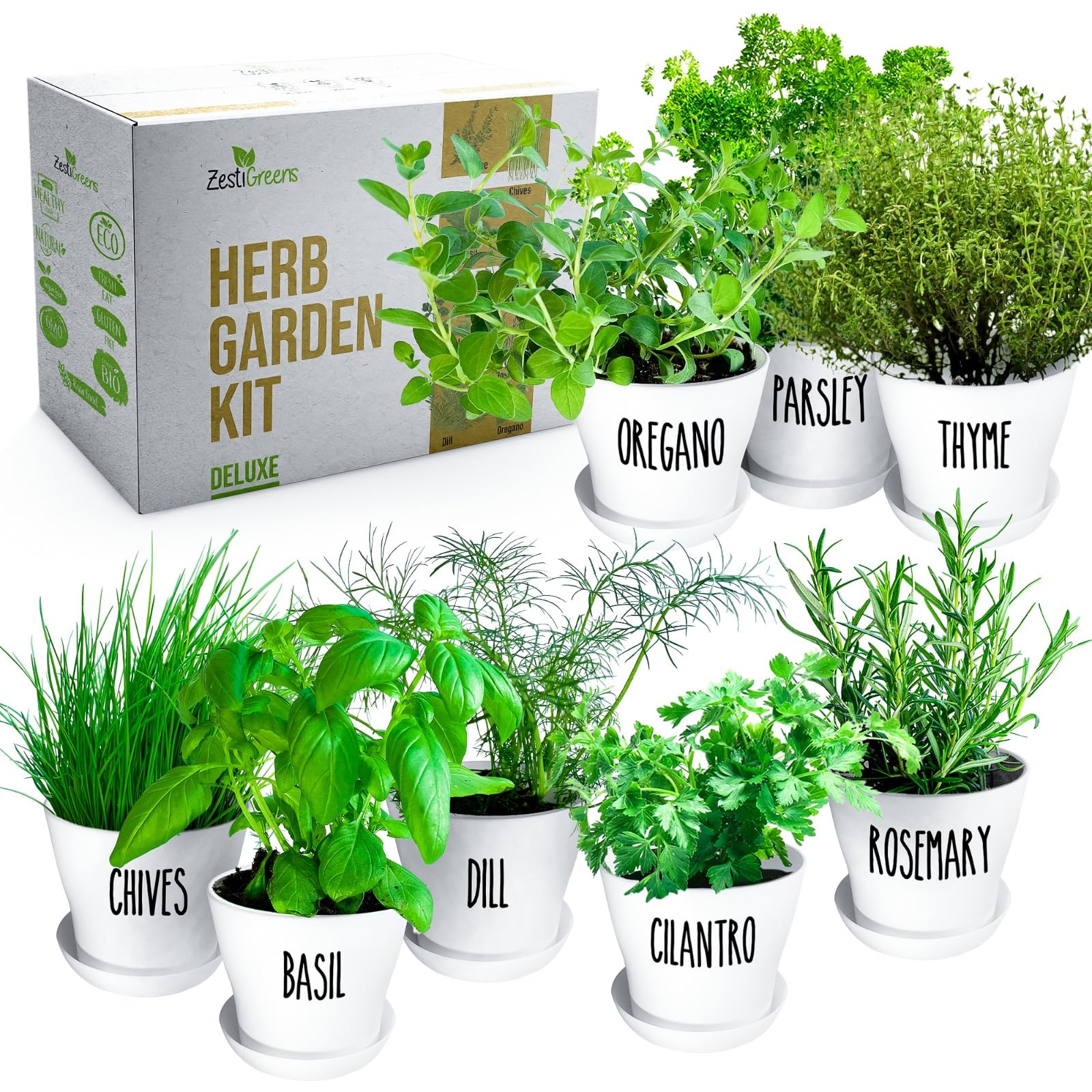Deluxe Herb Garden Kit 8 Variety Herbs for Indoor & Outdoor Get