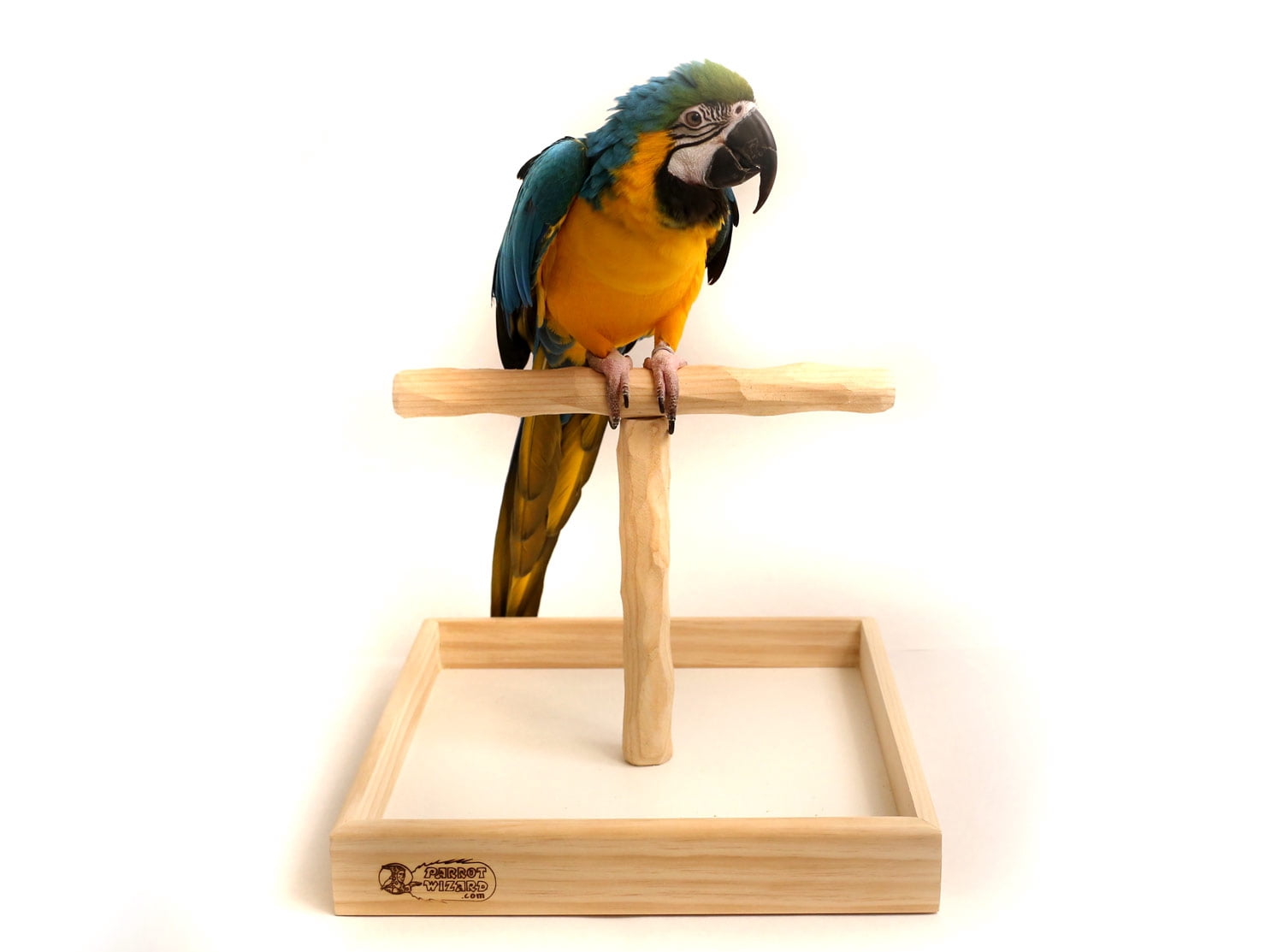 Perch Rack Deluxe Large Tabletop NU Perch - Parrot T Perch Stand Lg - Walmart.com