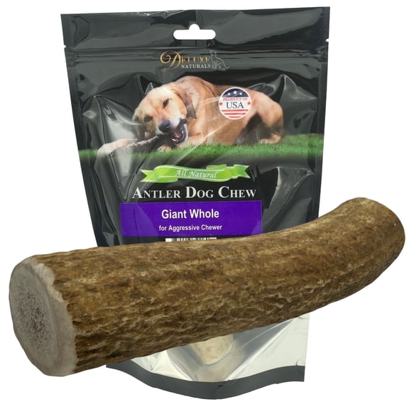 Deluxe Naturals 1-Pack Giant Whole Elk Antler Dog Chew, Natural Long-Lasting Chew Treat for Medium, Large, and Giant Dogs